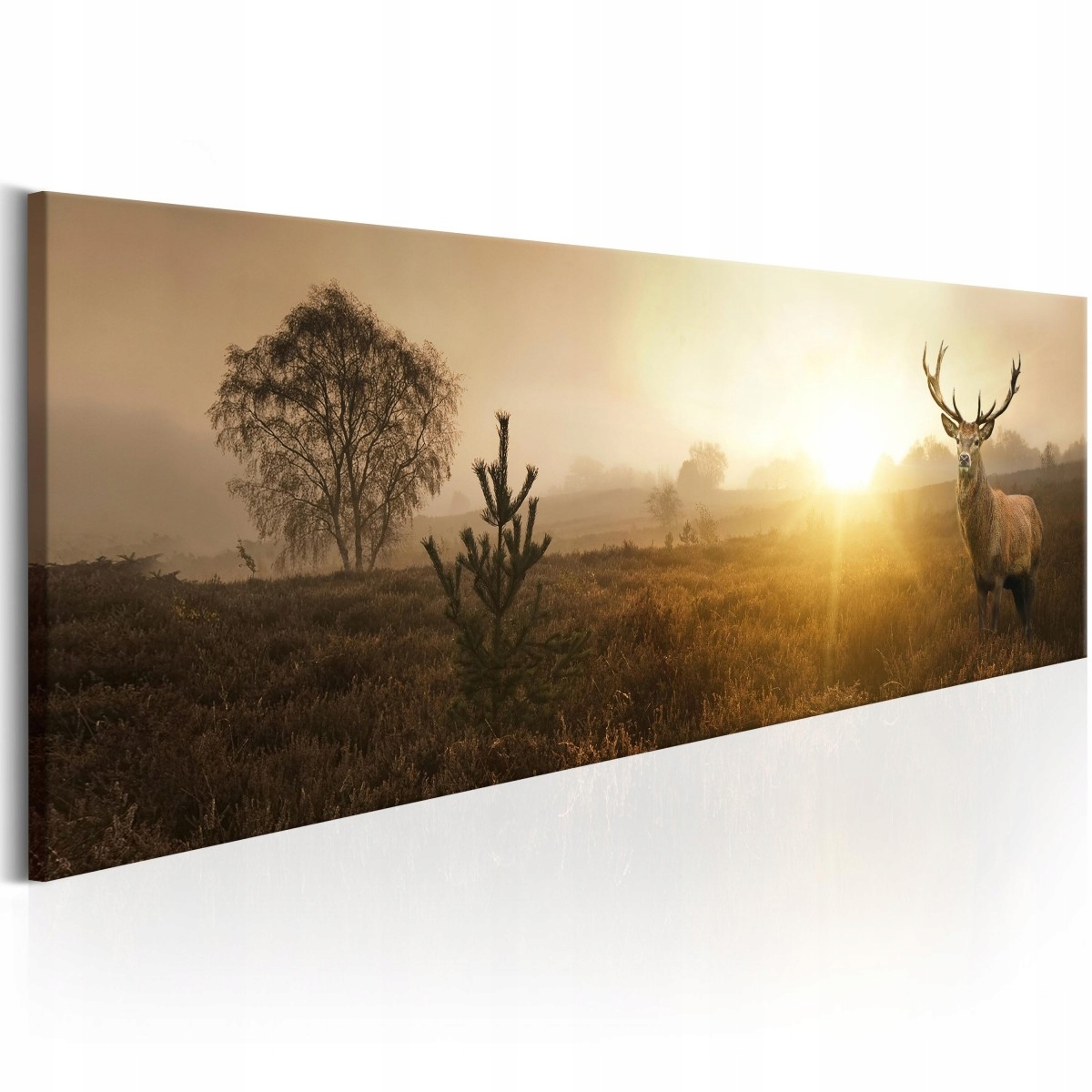 

Obraz - Mglisty poranek - 150X50