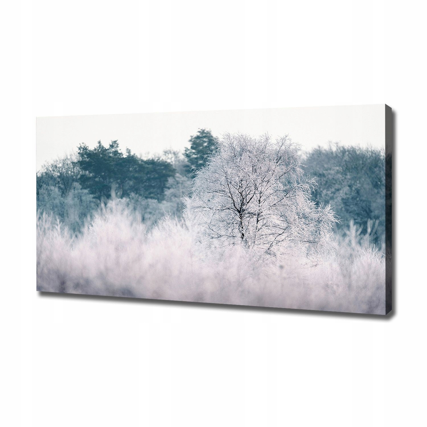 

Foto obraz canvas na ścianę Drzewa zimą 120x60 cm