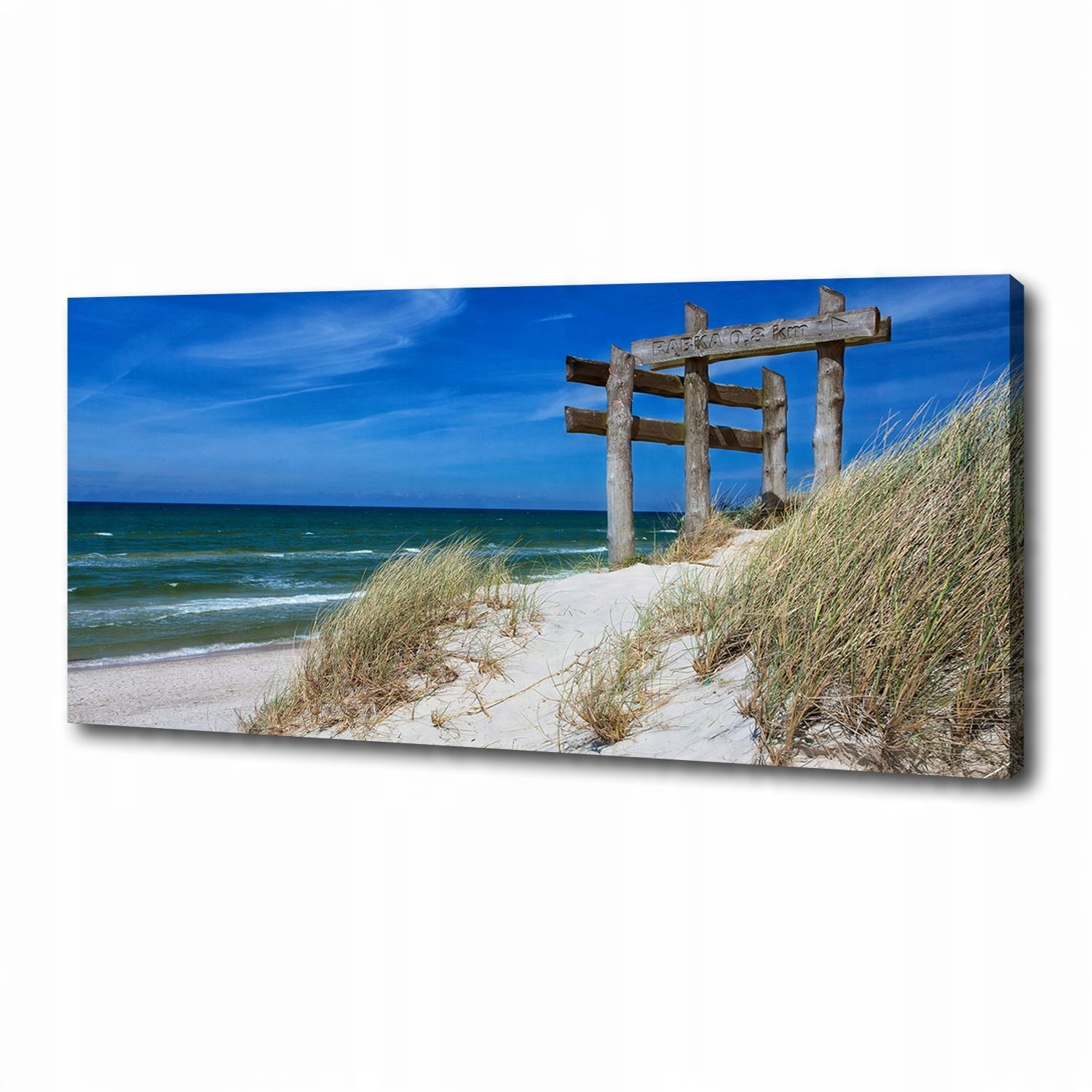 

Foto obraz na płótnie Nadmorskie wydmy 125x50 cm
