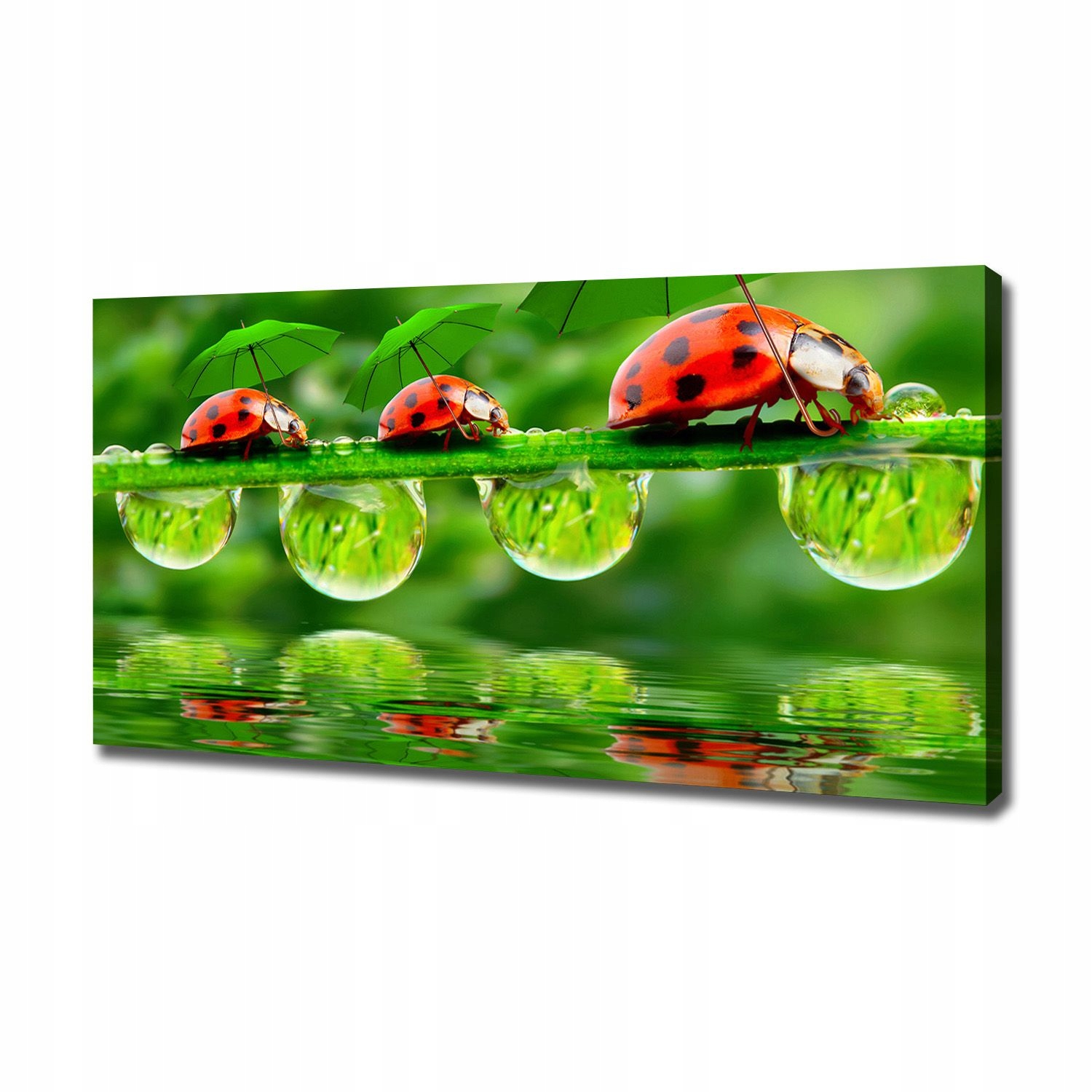 

Foto obraz na płótnie Biedronki parasole 120x60 cm