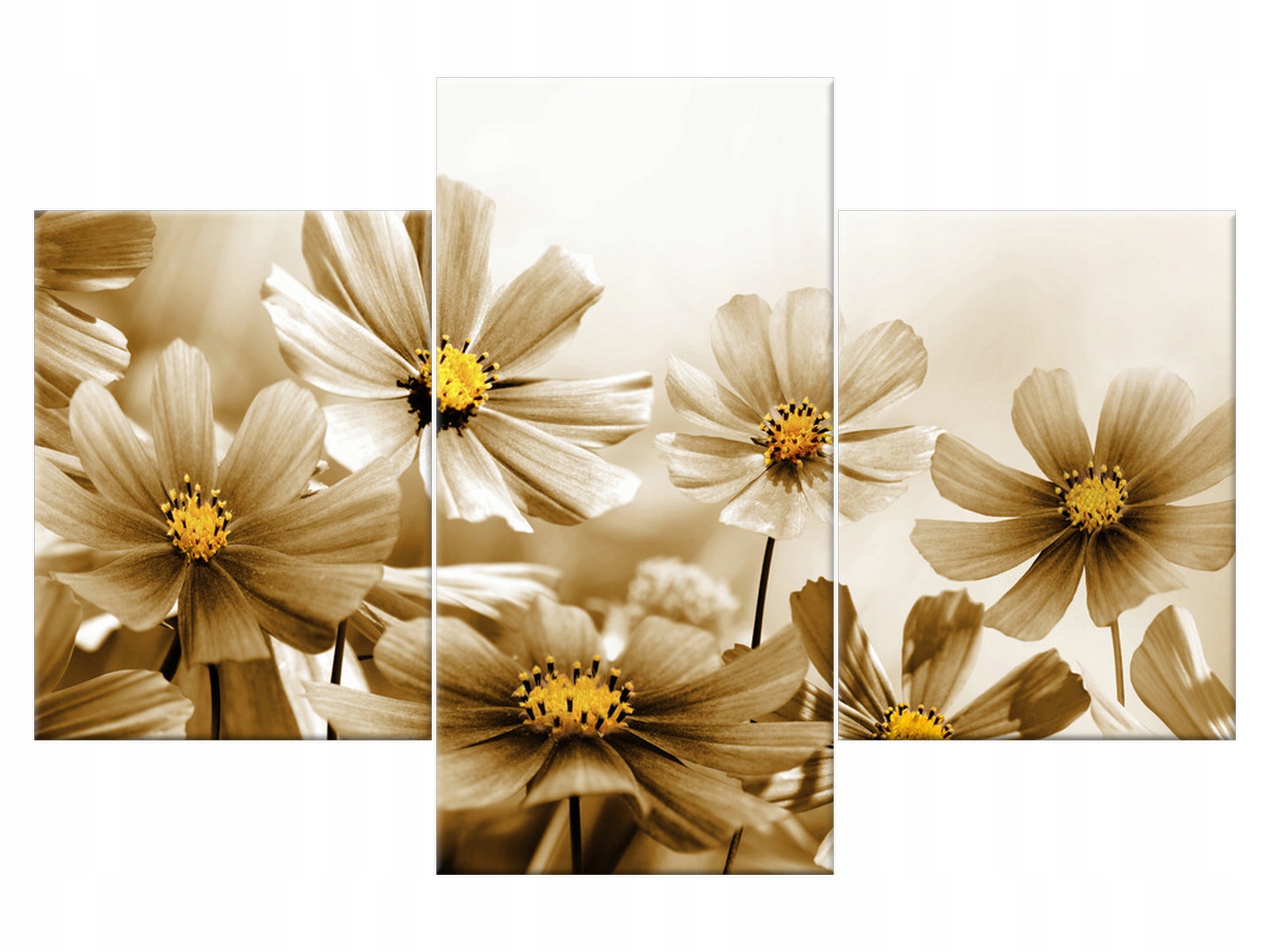 

Obraz Miodowe środki 90x60 Kropla Kwiaty salon