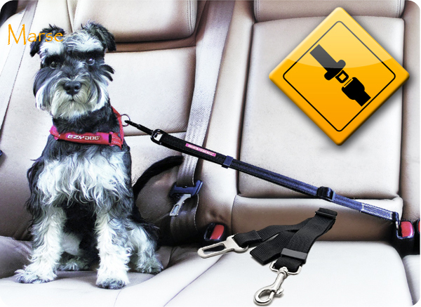 PASY BEZPIECZEŃSTWA SMYCZ DO SAMOCHODU DLA PSA Wysokość 70 cm