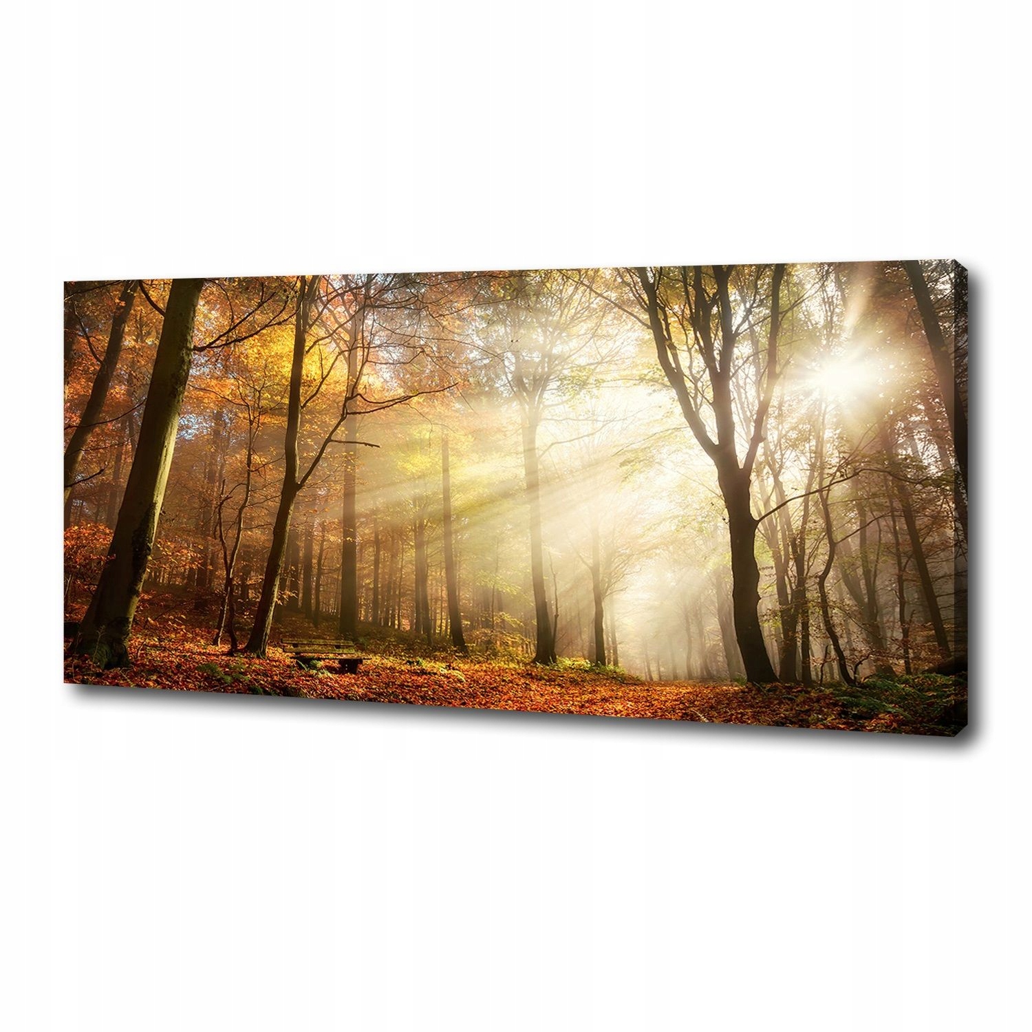 

Foto obraz duży na płótnie Mgła w lesie 125x50 cm