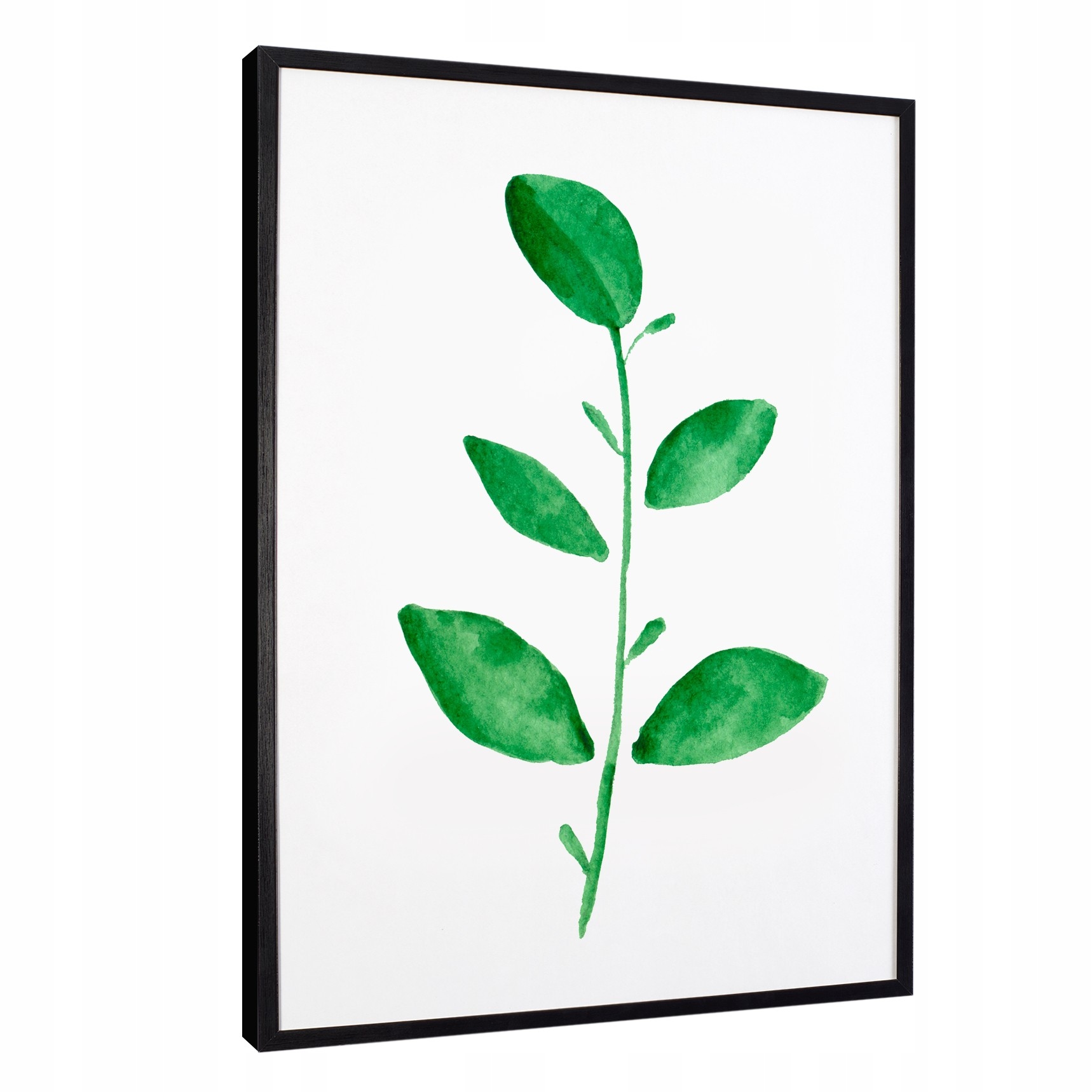 

Nowoczesne obrazy w ramie leaves zielone liście