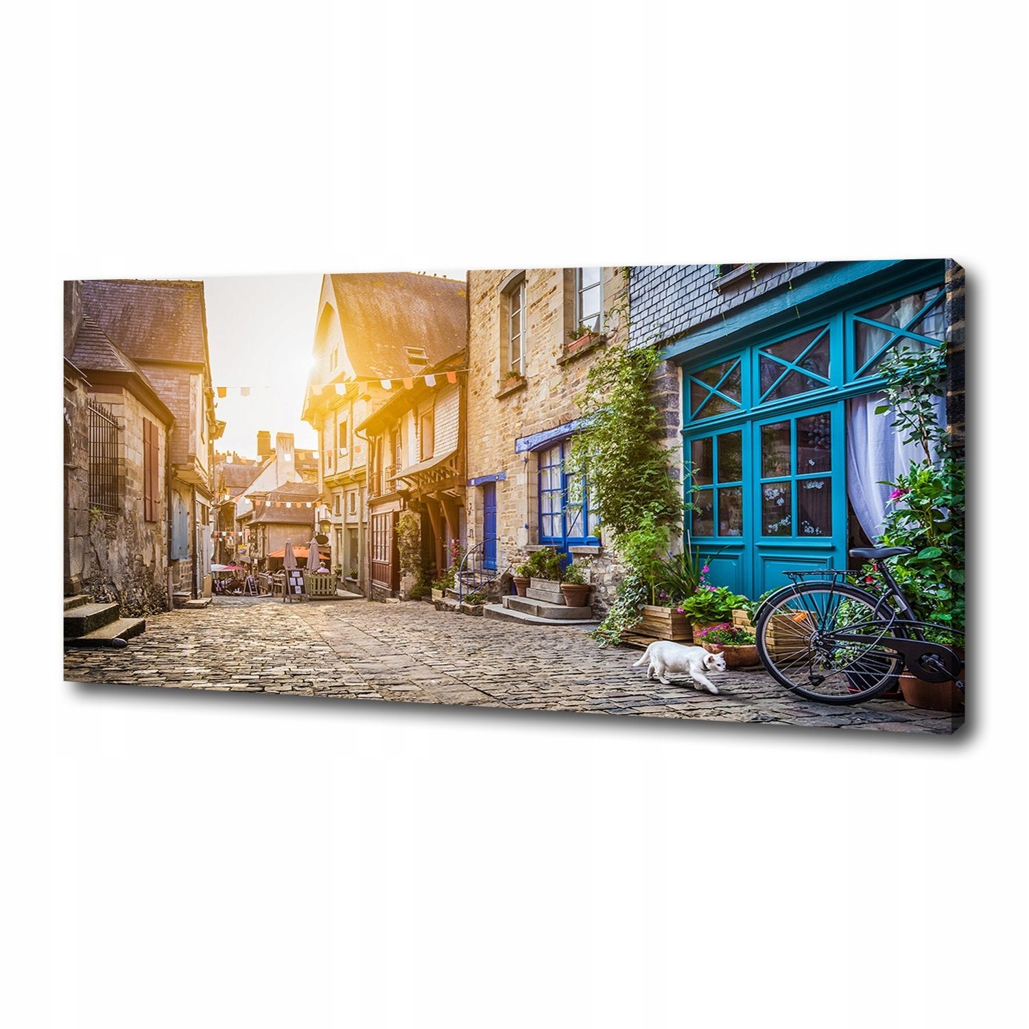 

Foto obraz na płótnie Urokliwa uliczka 125x50 cm