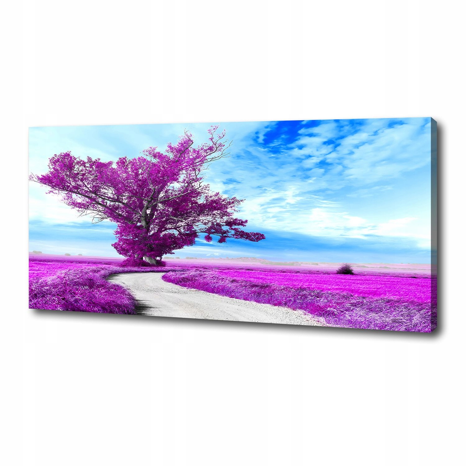 

Foto obraz na płótnie Drzewo i ścieżka 125x50 cm