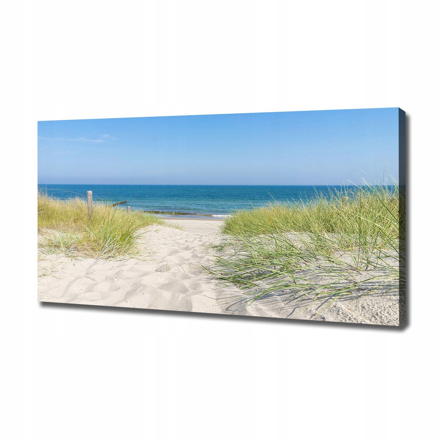 

Foto obraz na płótnie Nadmorskie wydmy 120x60 cm