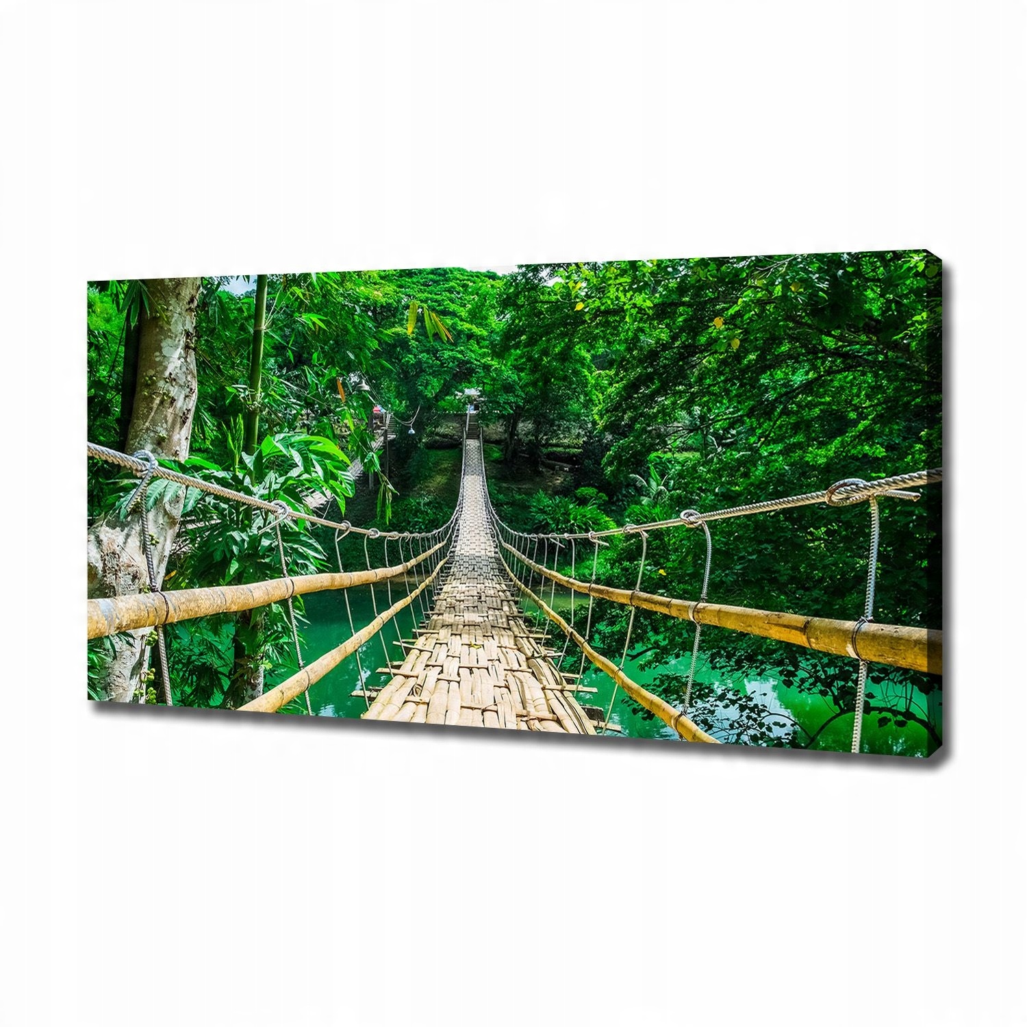 

Foto obraz na płótnie Most las tropikalny 120x60cm