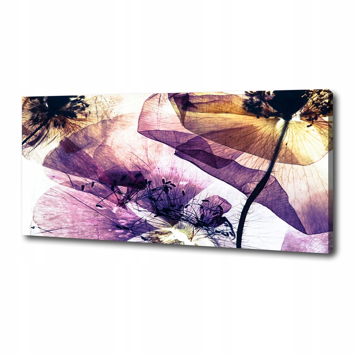 

Foto obraz canvas na ścianę Suche maki 125x50 cm