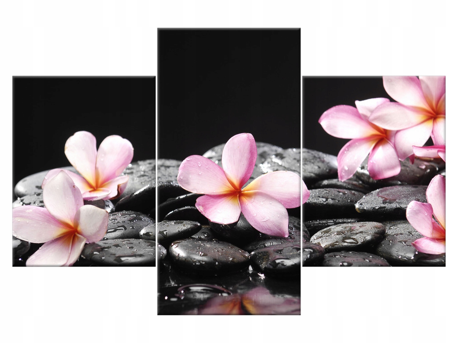 

Obraz Tryptyk Spa 90x60 Kwiaty Rośliny salon