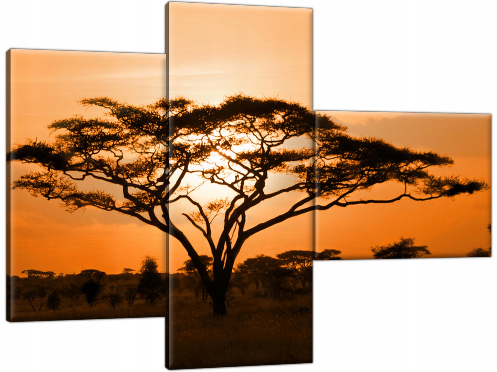 

Afryka Zachód słońca Pejzaż 100x70 Obraz Tryptyk