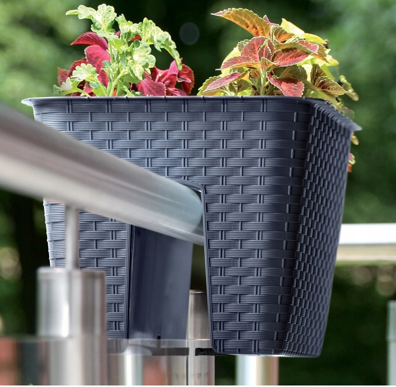 Tapтaлeтки & Ко