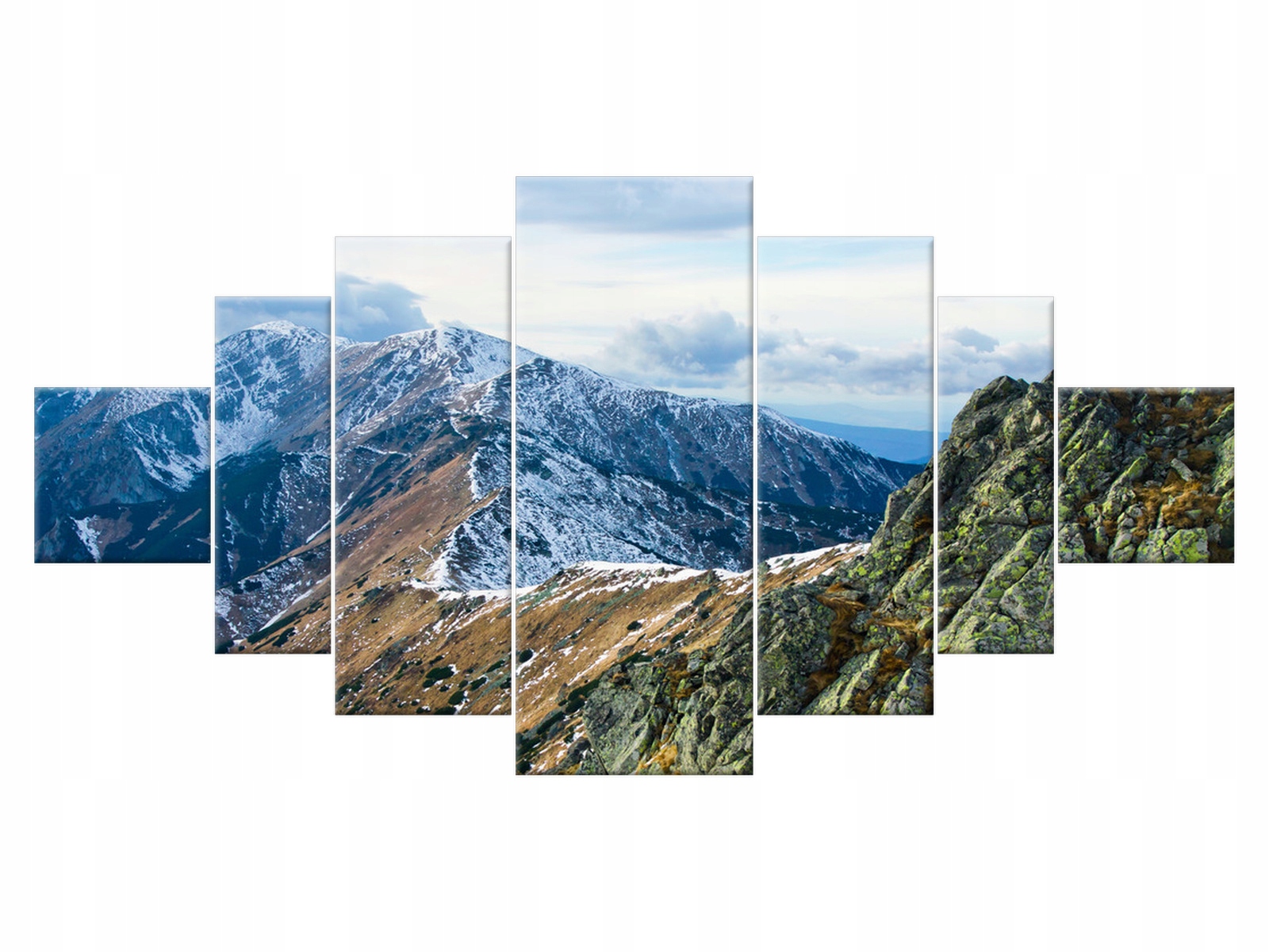 

Obraz Pejzaż Tatry Góry 200x100 Rośliny do salonu