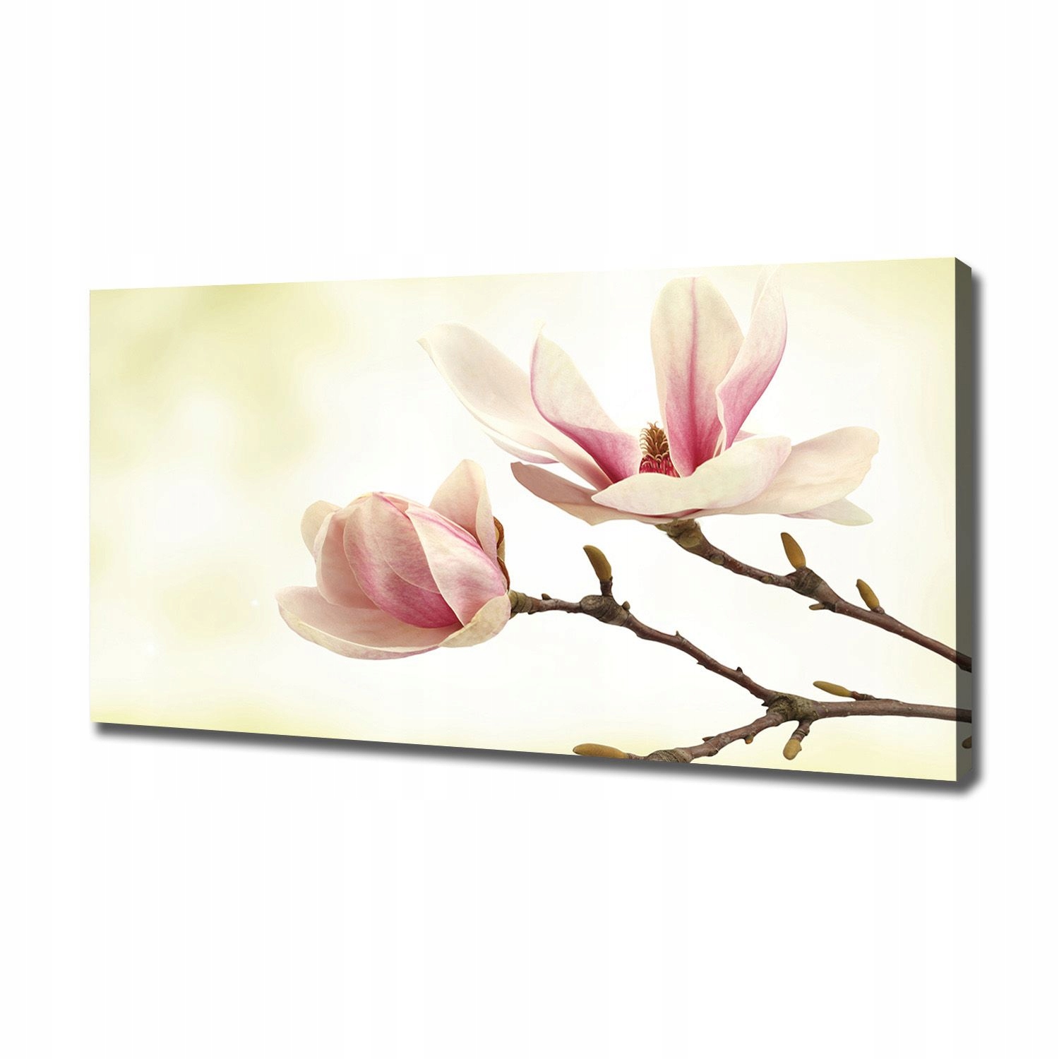 

Foto obraz canvas na ścianę Magnolia 120x60 cm