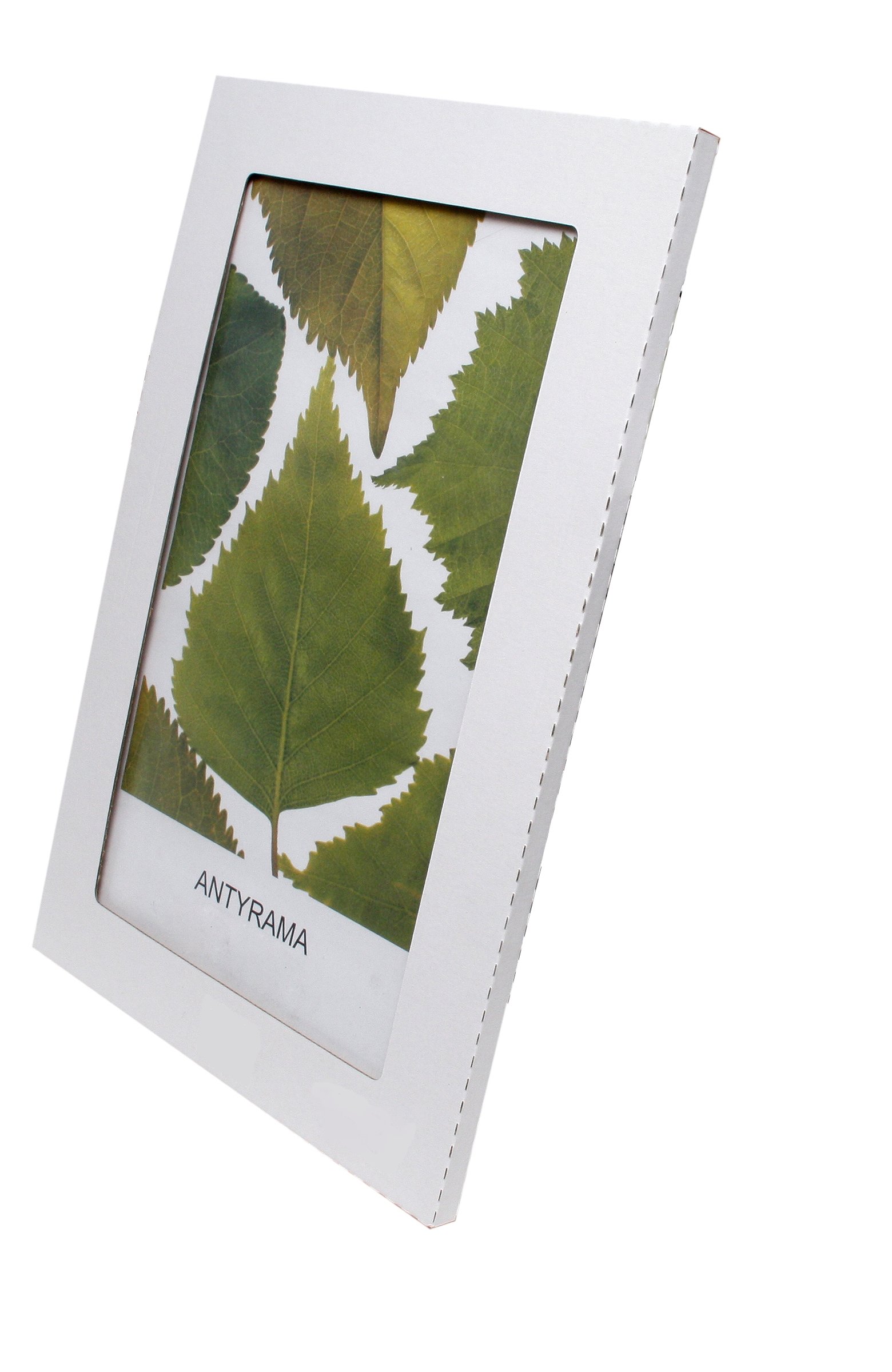 

Antyramy plexi 10x15 cm Warszawa