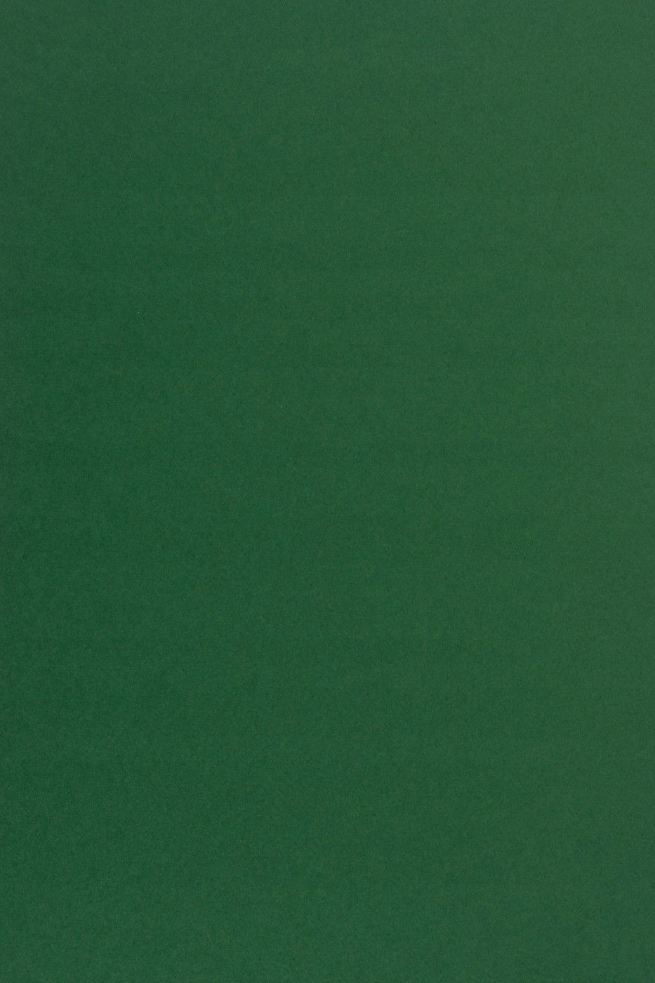 Papier gładki kolorowy Sirio 170g c. zielony 20A4