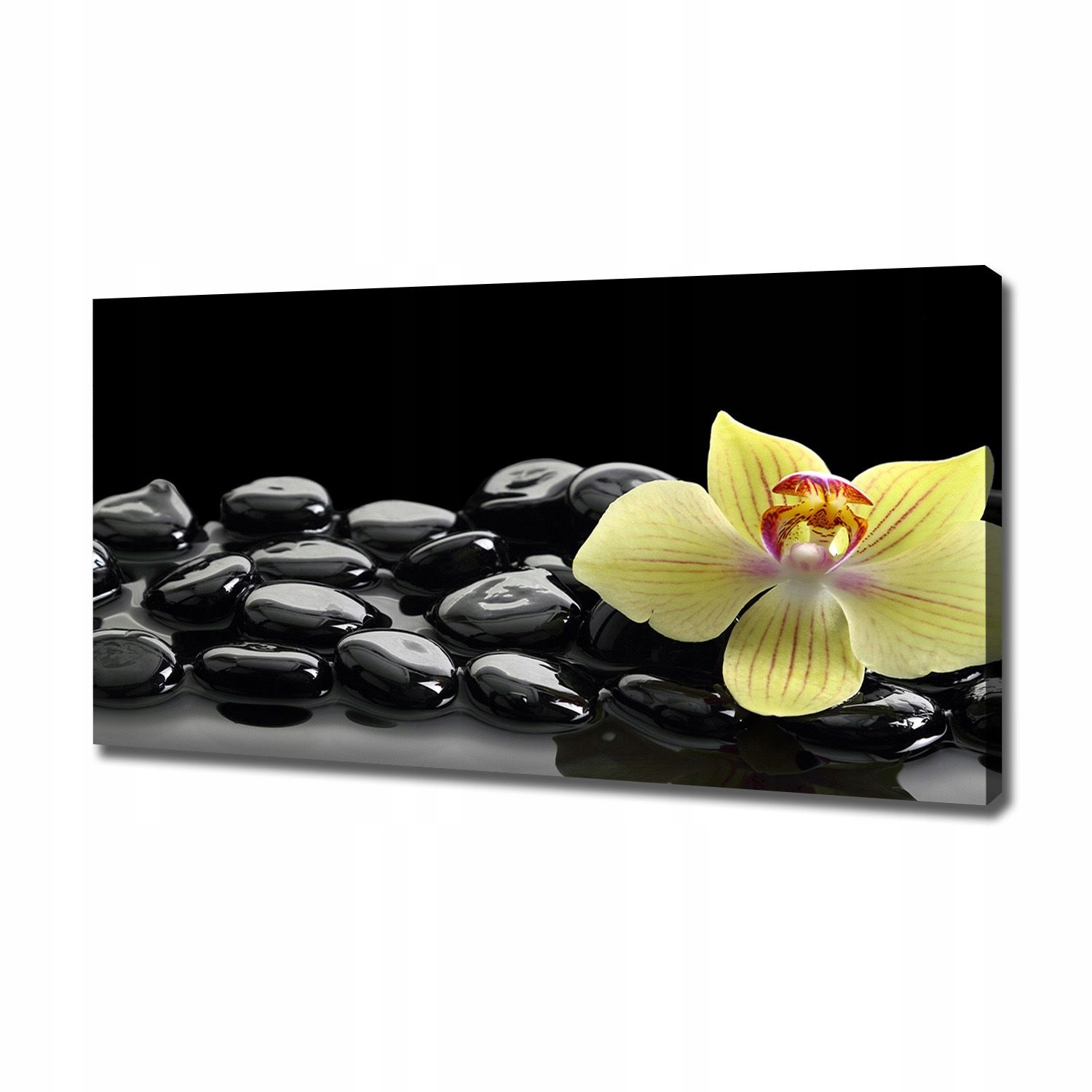 

Foto obraz canvas na ścianę Orchidea 120x60 cm