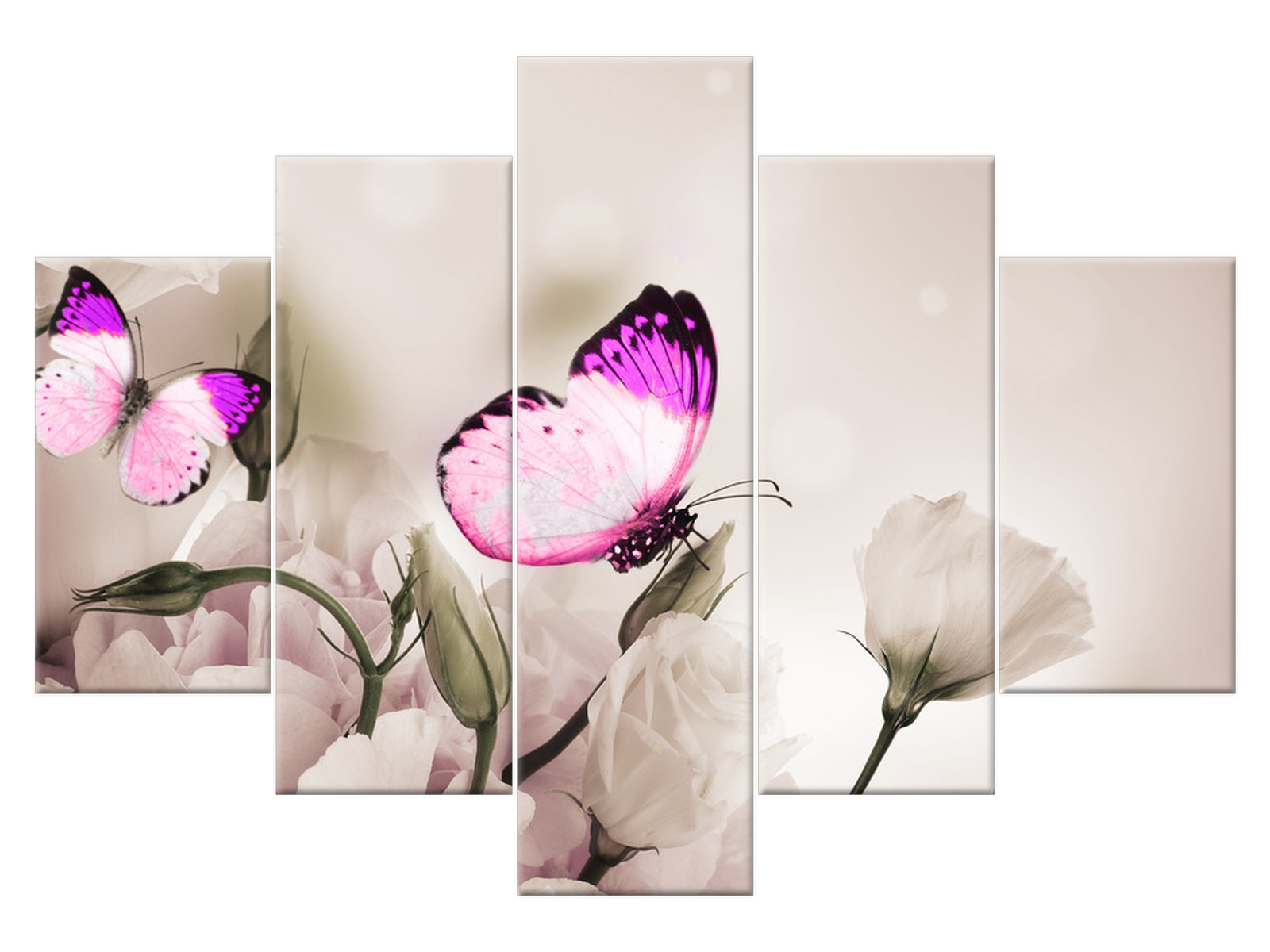 

Obraz Tryptyk Motyli raj 150x105 Kwiaty 1242A_5H