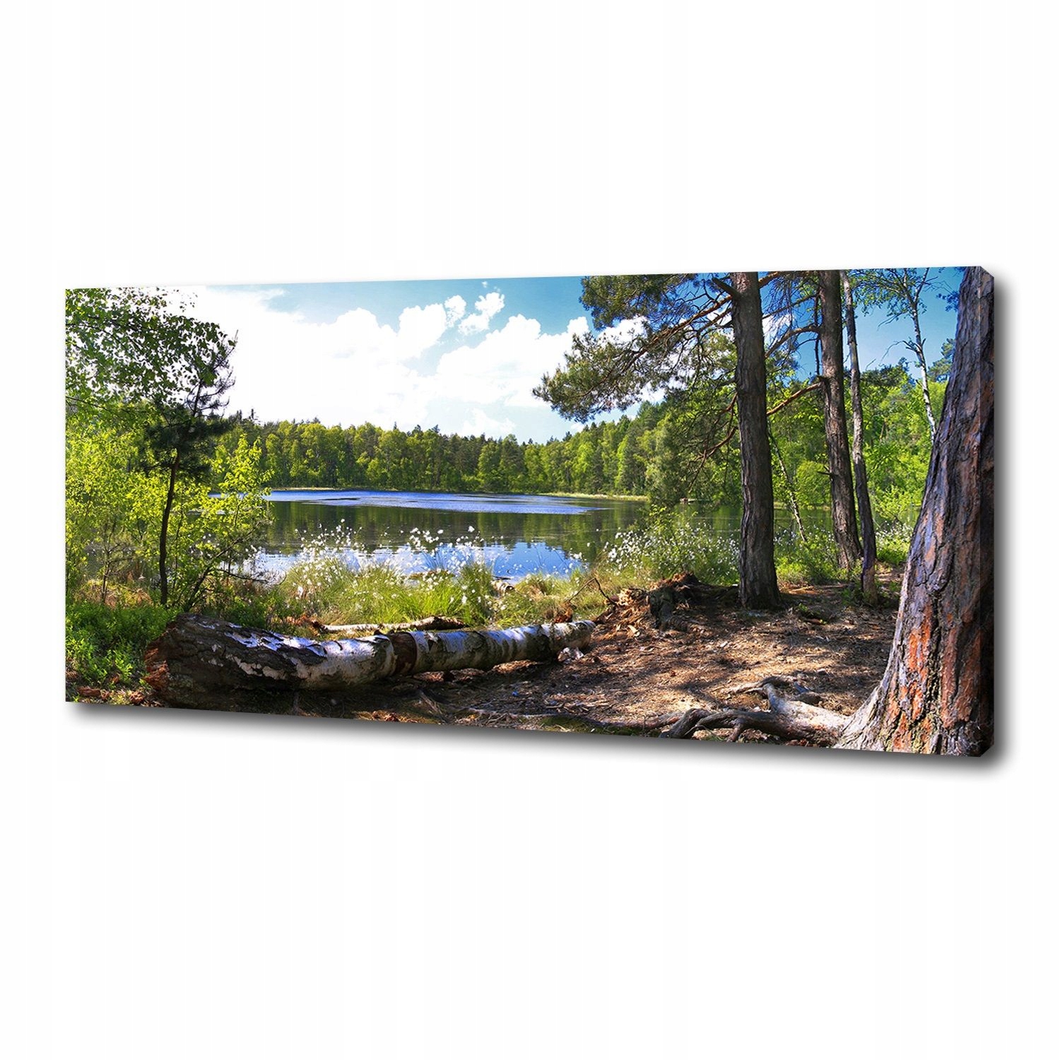 

Foto obraz na płótnie Leśna panorama 125x50 cm