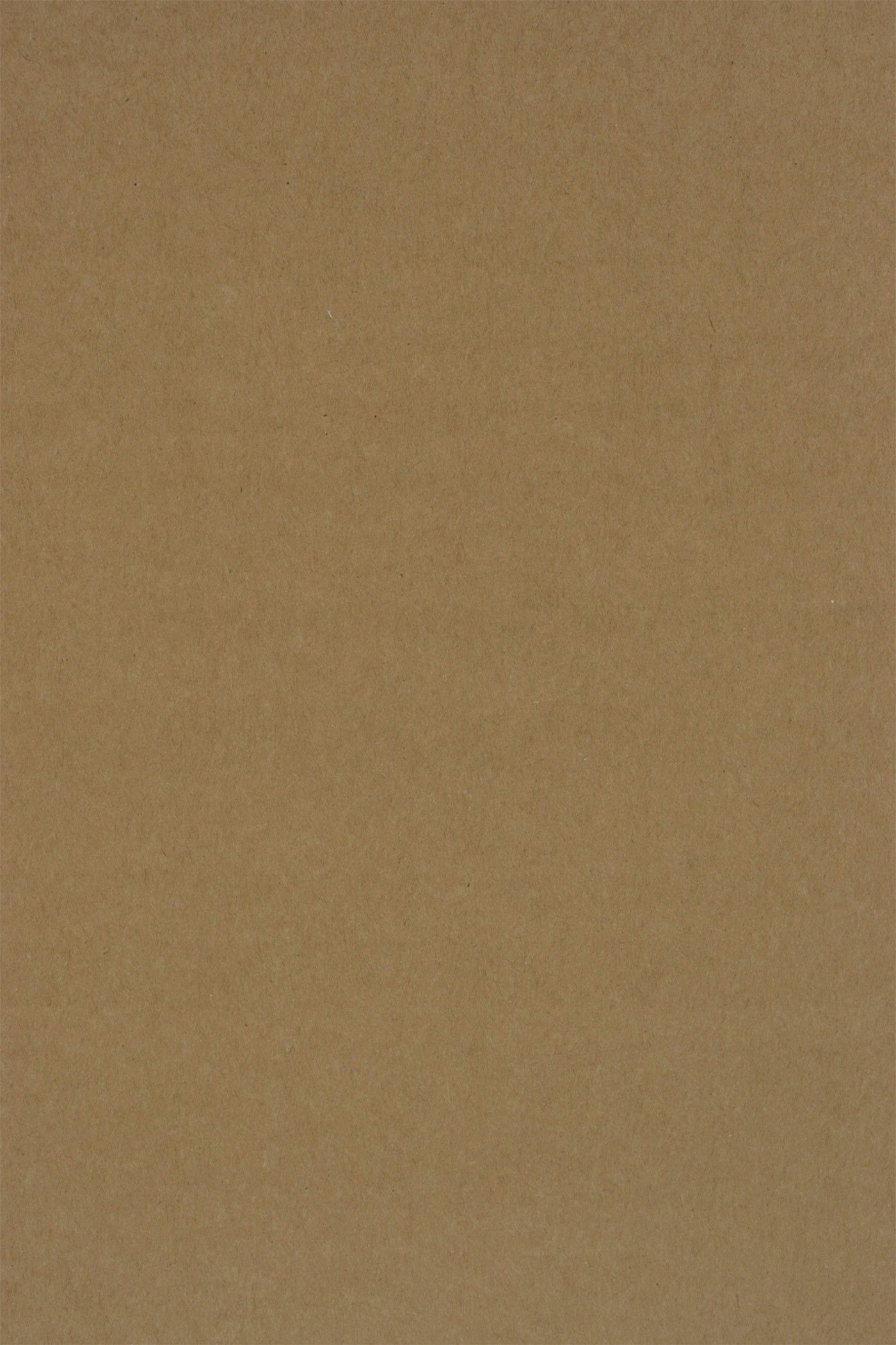 

Papier ekologiczny Kraft Eko Plus 340g brąz 100A4