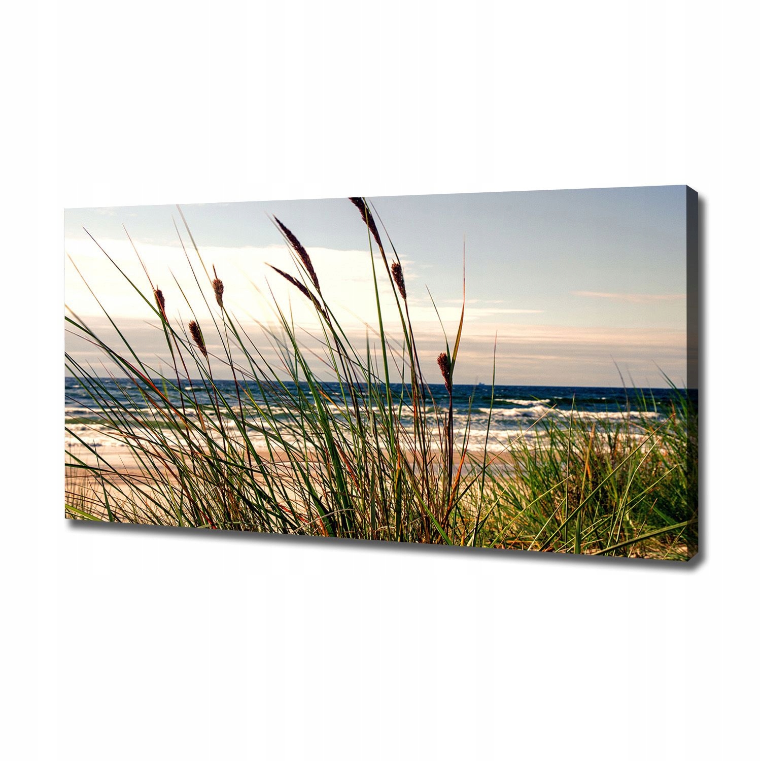 

Foto obraz na płótnie Nadmorskie wydmy 120x60 cm