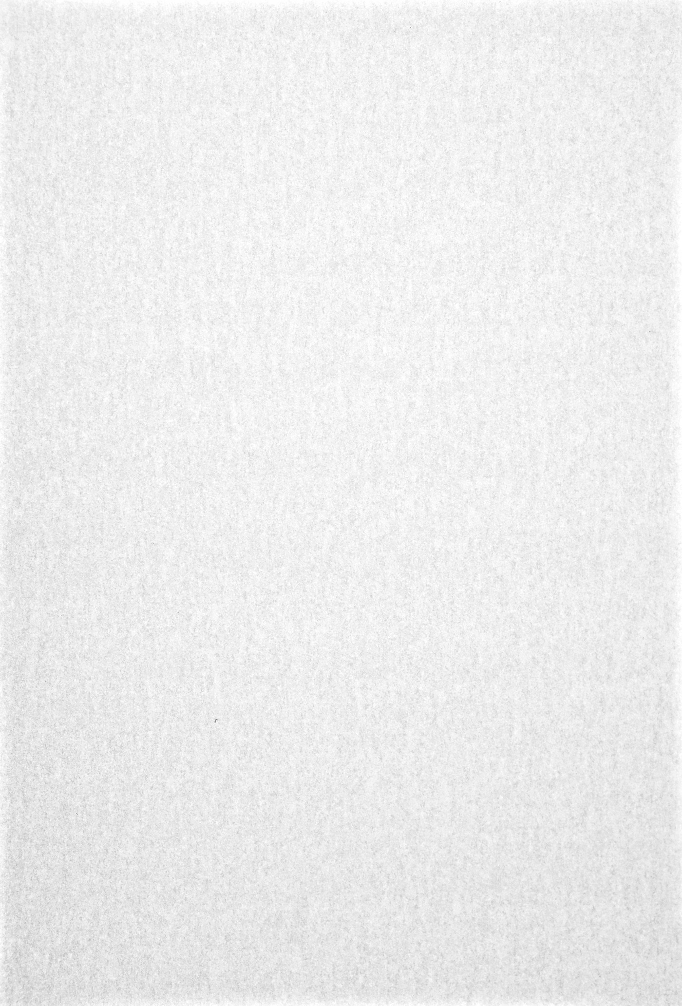 

Papier ozdobny kalka Pergamenata 110g biały 10A4