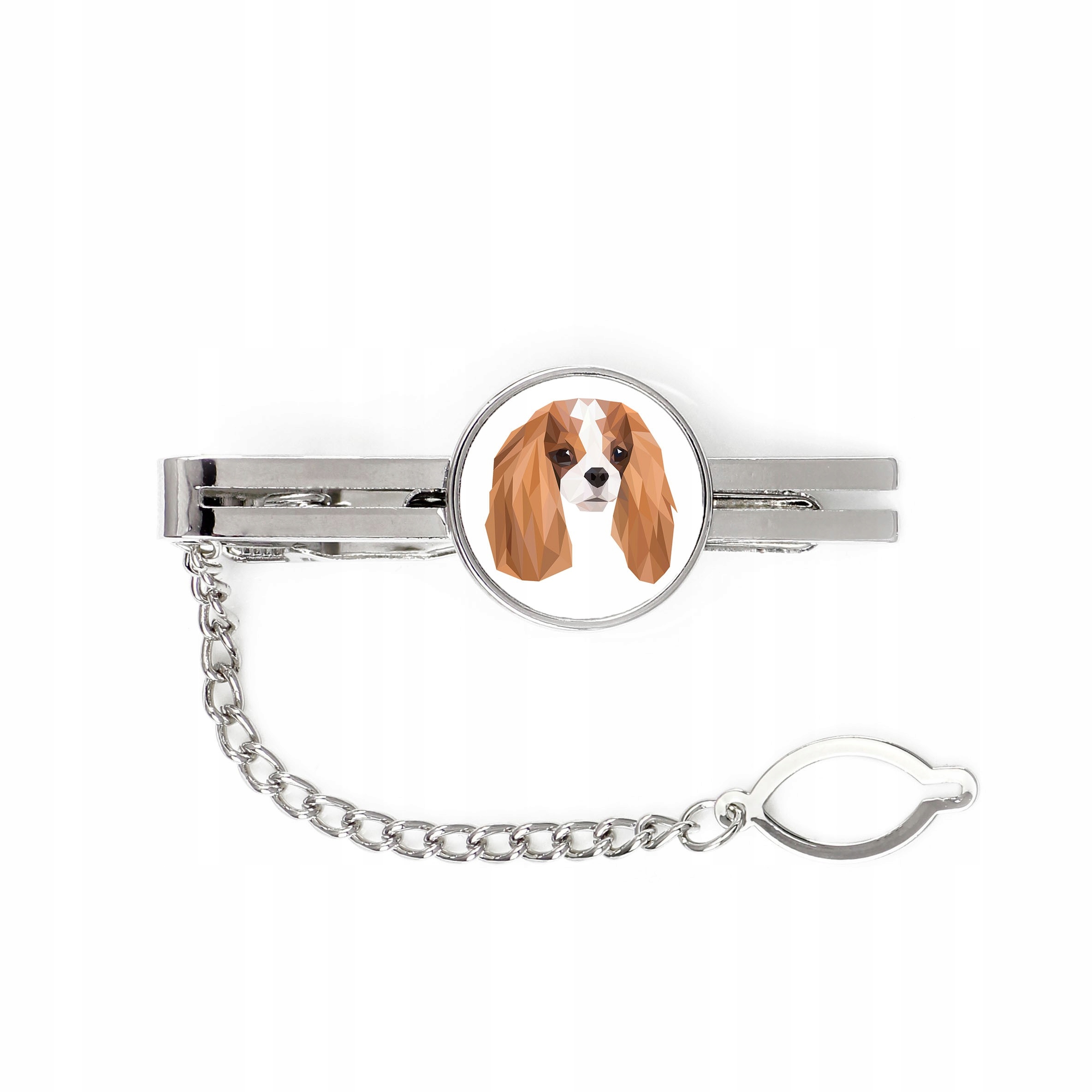 

Cavalier King Charles Spaniel Spinka do krawata