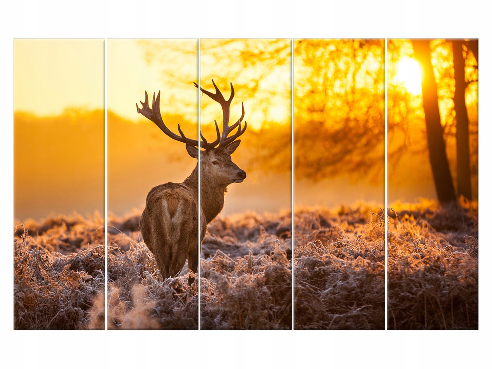 

Obraz 100x63 Pejzaż Jeleń Rośliny 5 elementowy