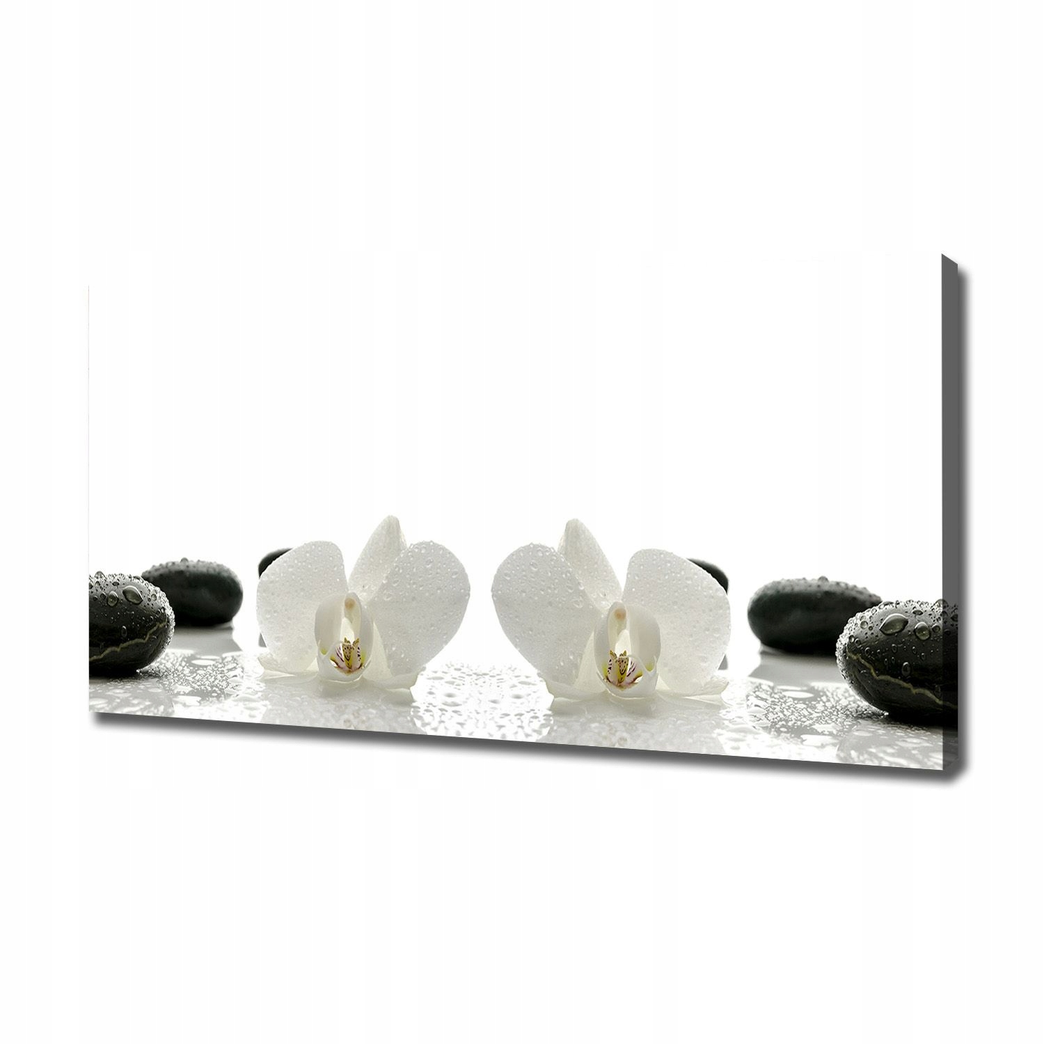 

Foto obraz canvas na ścianę Orchidea 120x60 cm
