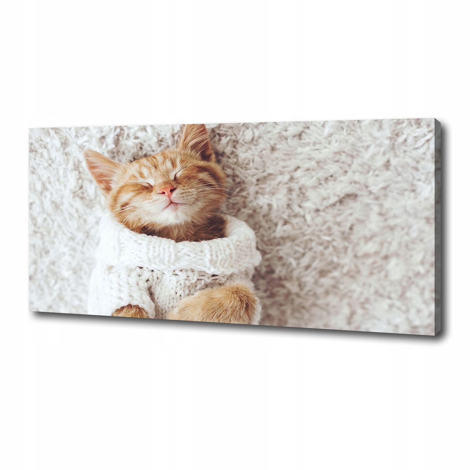 

Foto obraz na płótnie Kotek w swetrze 125x50 cm