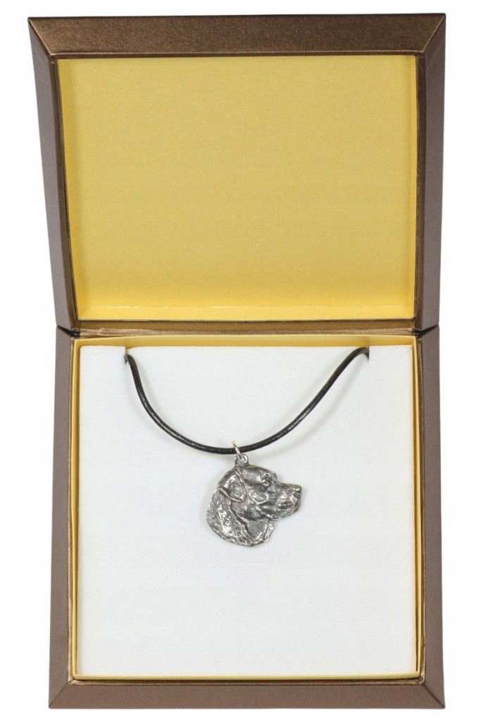 

Labrador Retriever Posrebrzany naszyjnik w pudełku