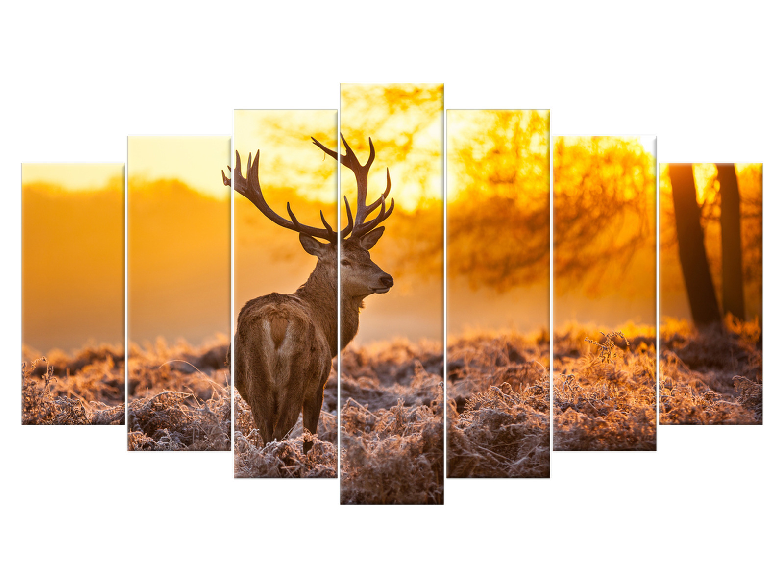 

Obraz 140x80 Pejzaż Jeleń Rośliny 7 elementowy