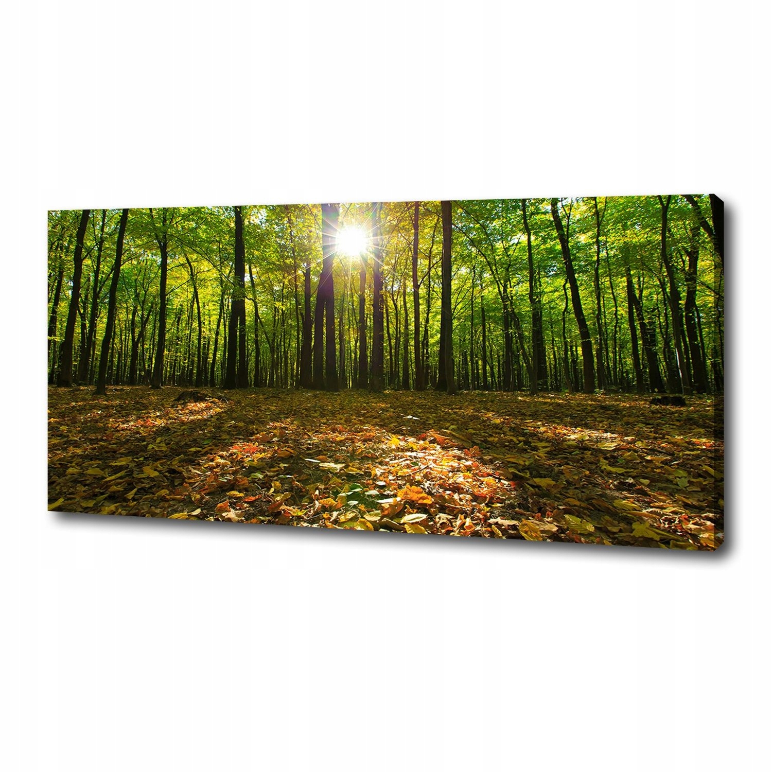 

Obraz zdjęcie na płótnie nowoczesny Las 125x50 cm