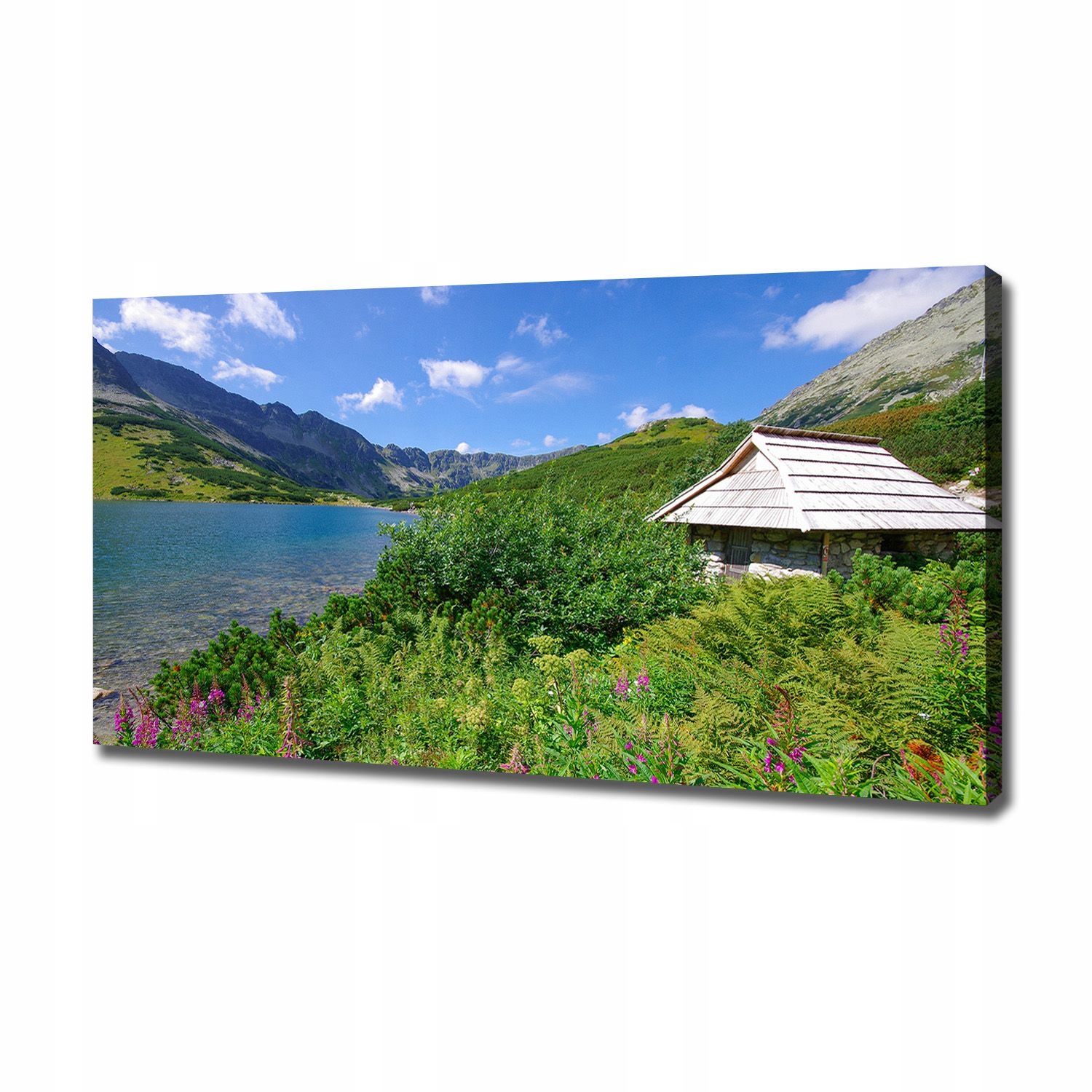 

Foto obraz na płótnie Domek w Tatrach 120x60 cm
