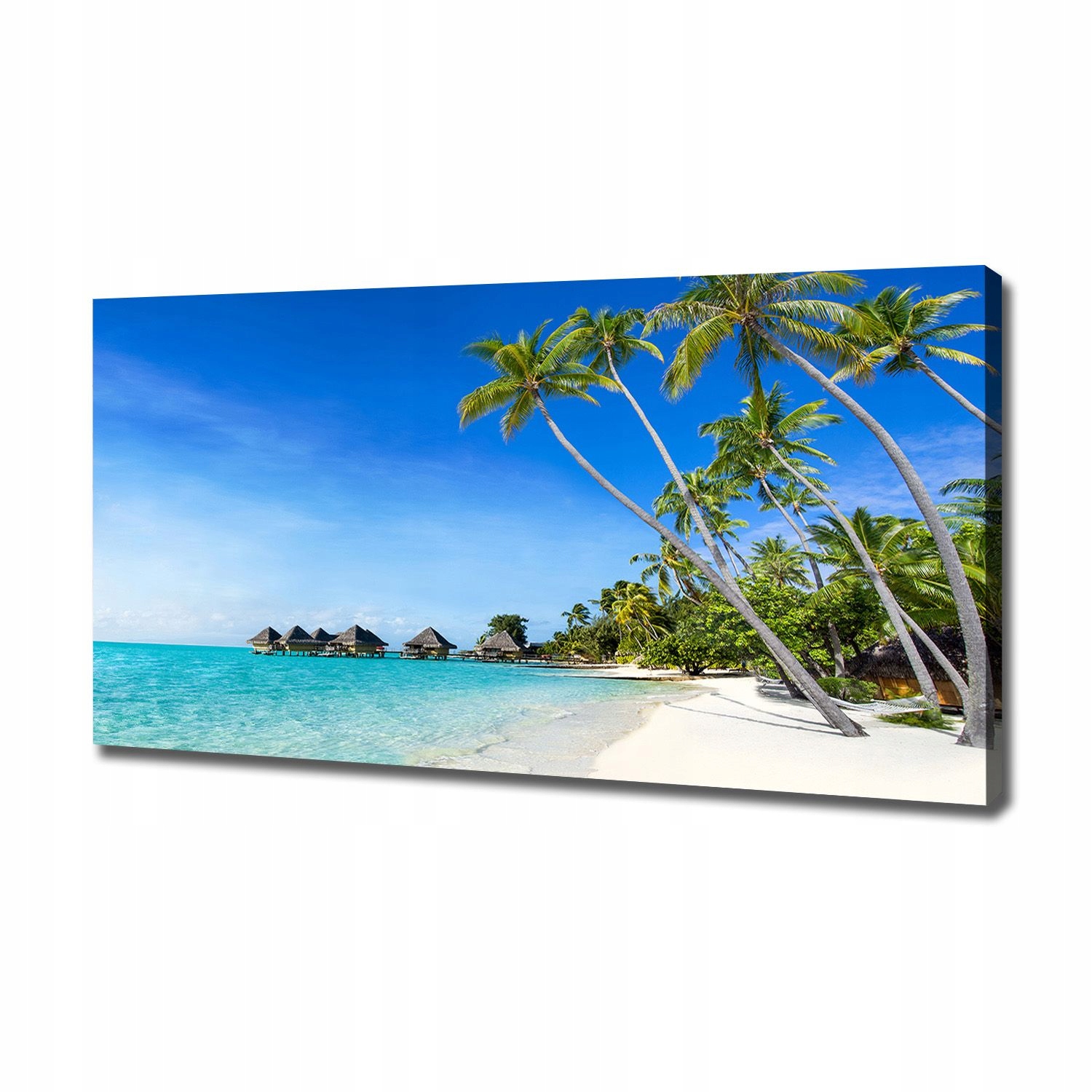 

Foto obraz canvas na ścianę Malediwy 120x60 cm