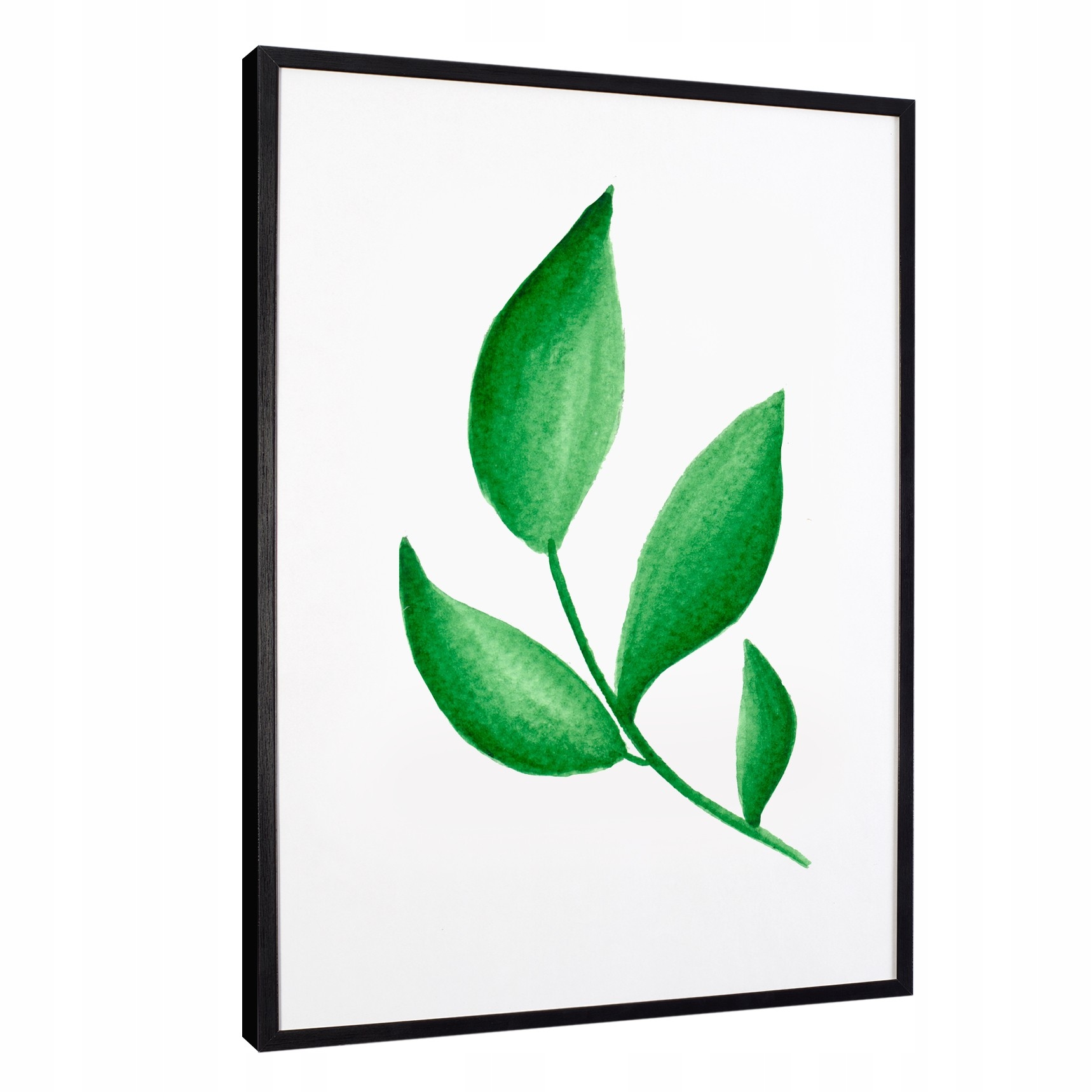 

Nowoczesne obrazy w ramie leaves zielone liście