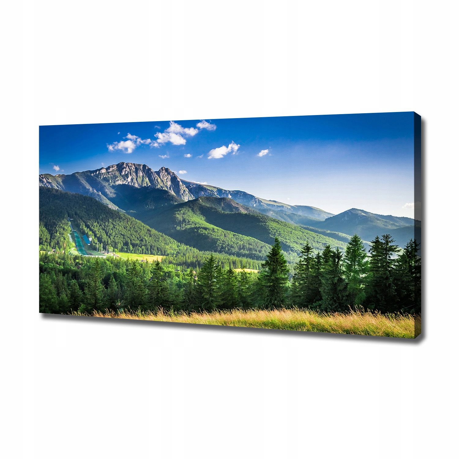 

Foto obraz na płótnie Skocznia w Tatrach 120x60 cm