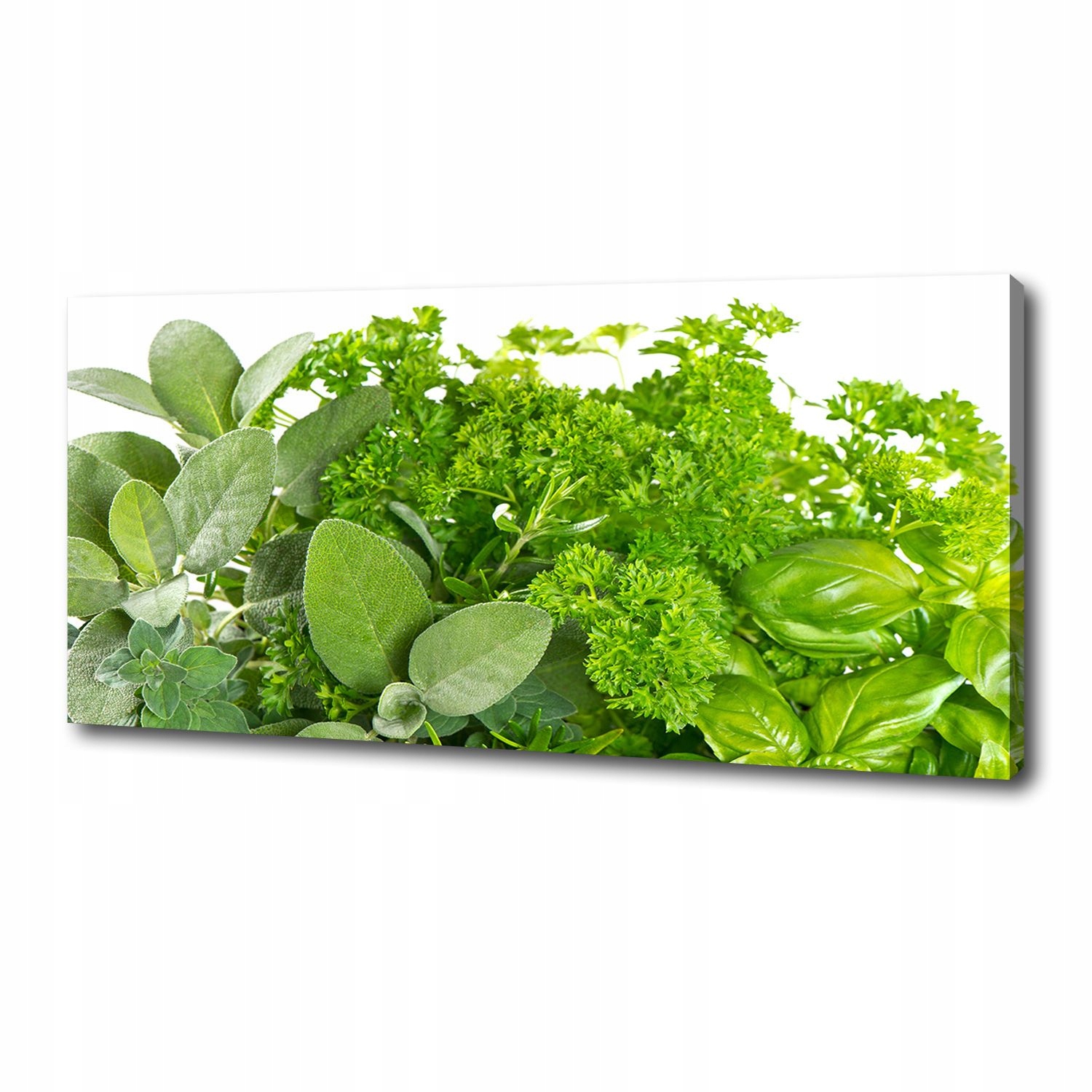 

Foto obraz ze zdjęcia do salonu Zioła 125x50 cm