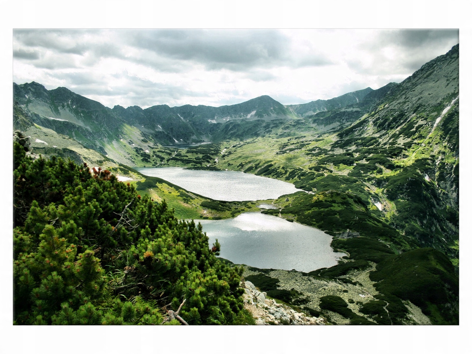 

Obraz Pejzaż Pięć Stawów Tatry 120x80 Rośliny