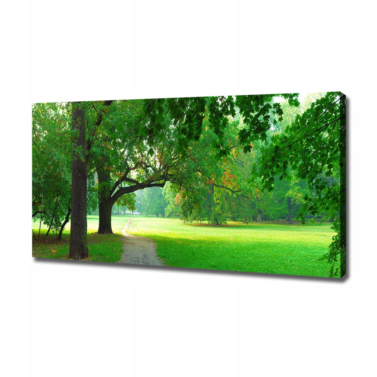 

Foto obraz na płótnie Park jesienią 120x60 cm