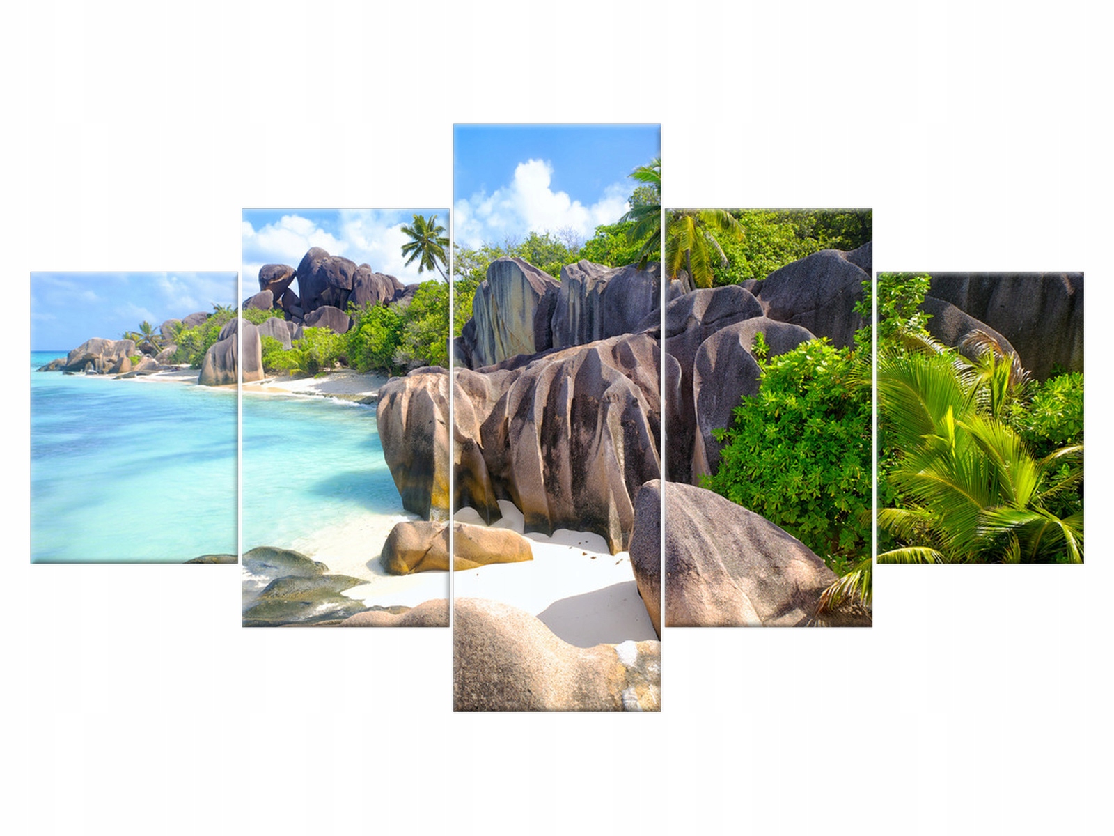 

Obraz 125x70 Drzewo Wyspa La Digue Oryginalny