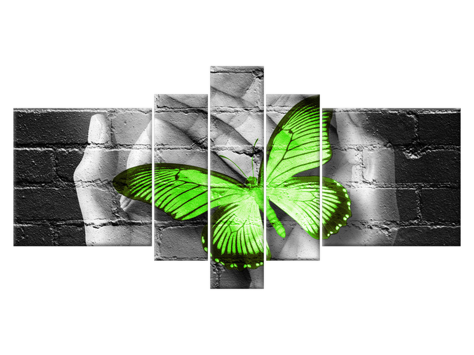 

Obraz Zielony motyl w dłoniach 160x80 Abstrakcje