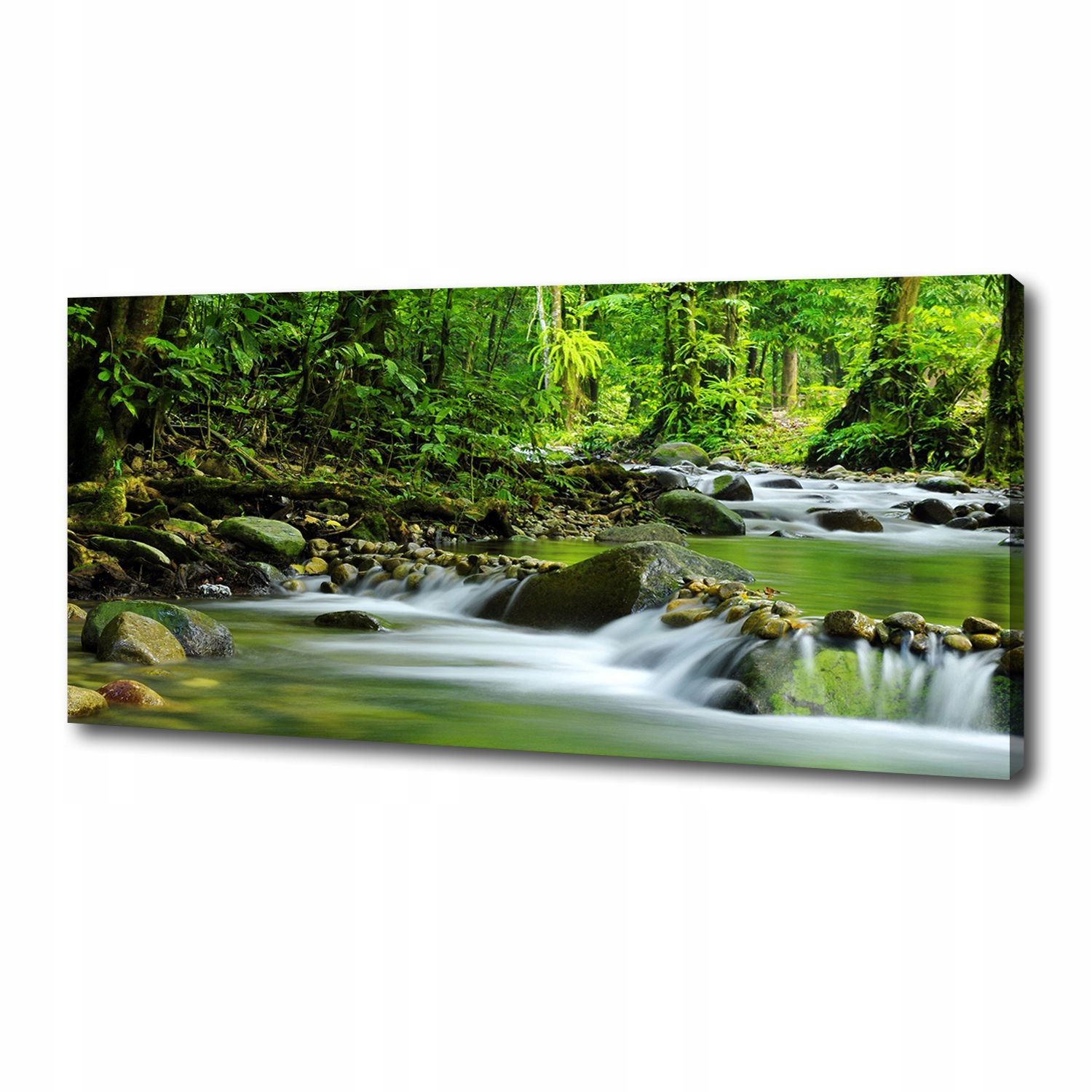 

Foto obraz duży na płótnie Górski potok 125x50 cm