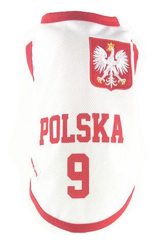 

Koszulka reprezentacji Polska Mś Liga Narodów S