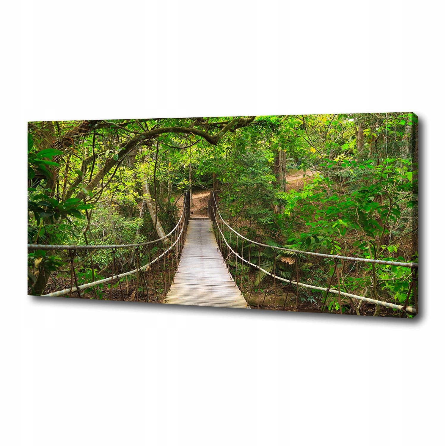 

Foto obraz canvas na ścianę Most linowy 125x50 cm