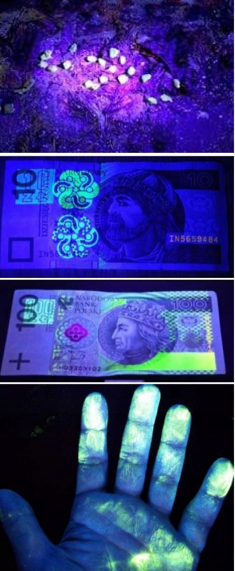 LATARKA KLIMATYZACJA KREW BURSZTYN ULTRAFIOLET UV Marka inna marka