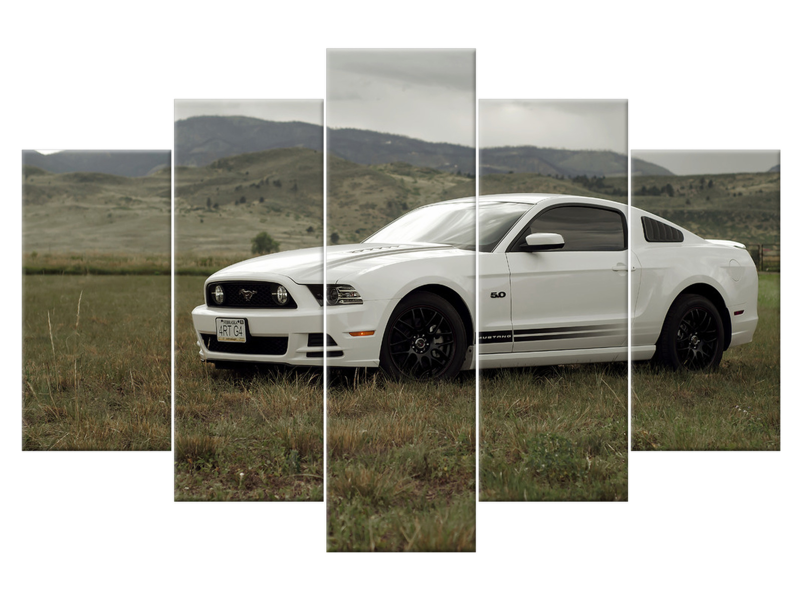 

Obraz Mustang Gt V8 - Brett Levin 150x100 Pejzaż