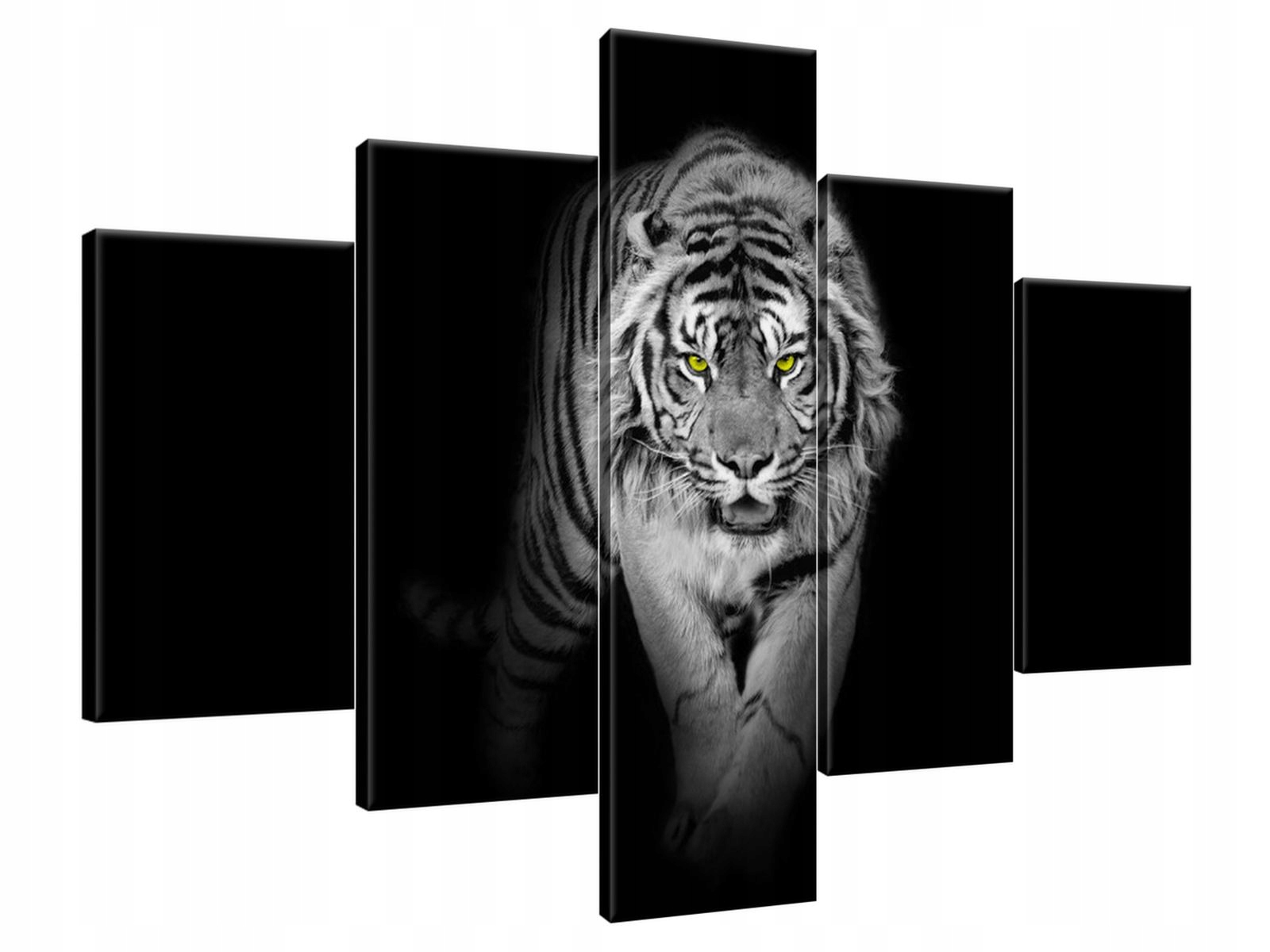 

Obraz Drukowany 100x70 Tygrys w mroku scena souv
