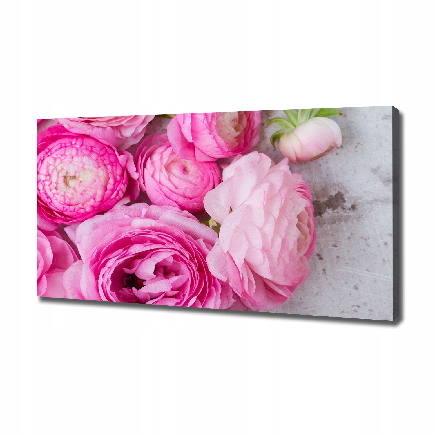 

Foto obraz canvas na ścianę Dzikie róże 120x60 cm