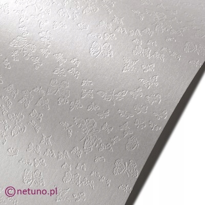 

Papier perłowy Astrosilver 220g Motylki 10A4